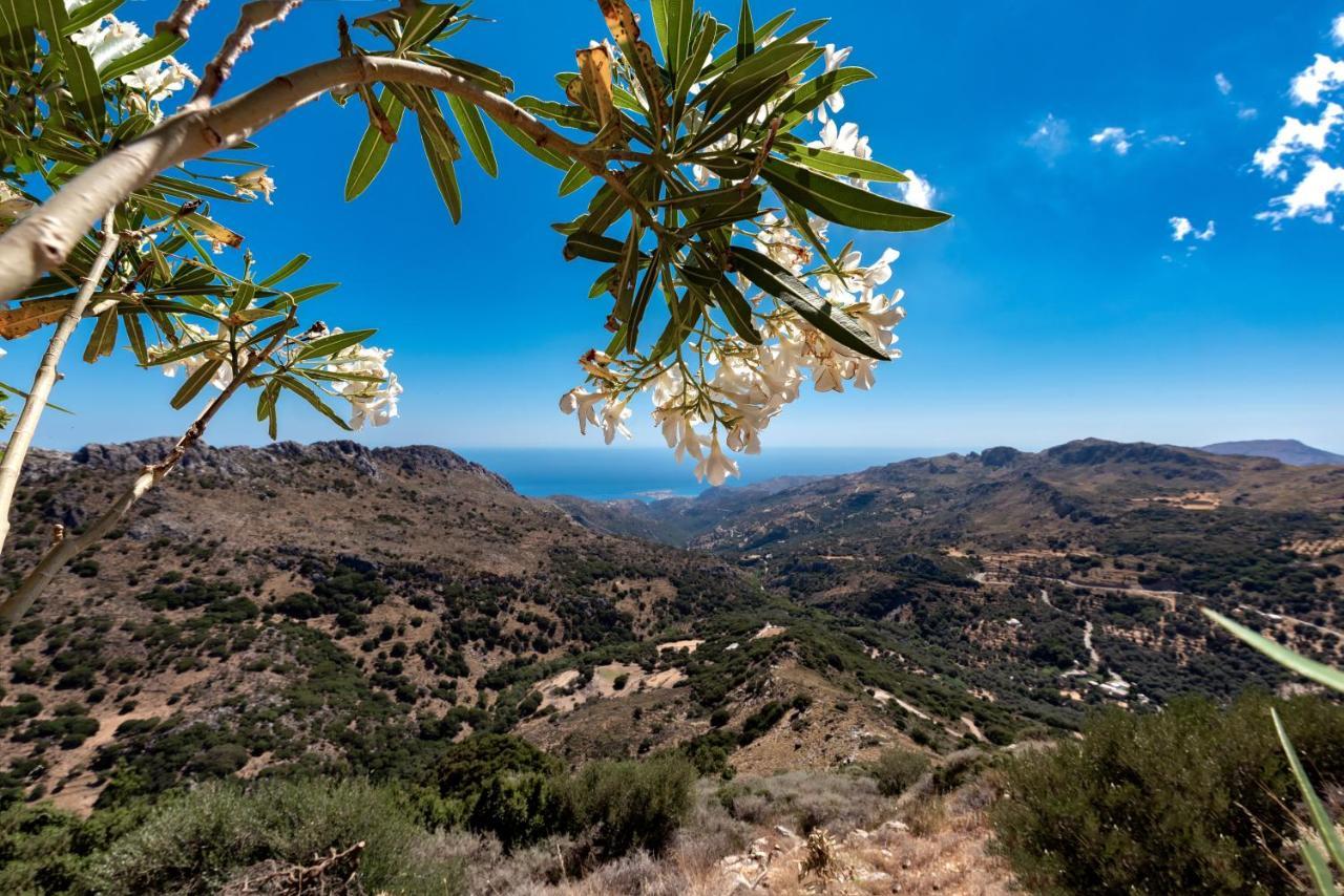 Best View Mountain Villa Teménia エクステリア 写真